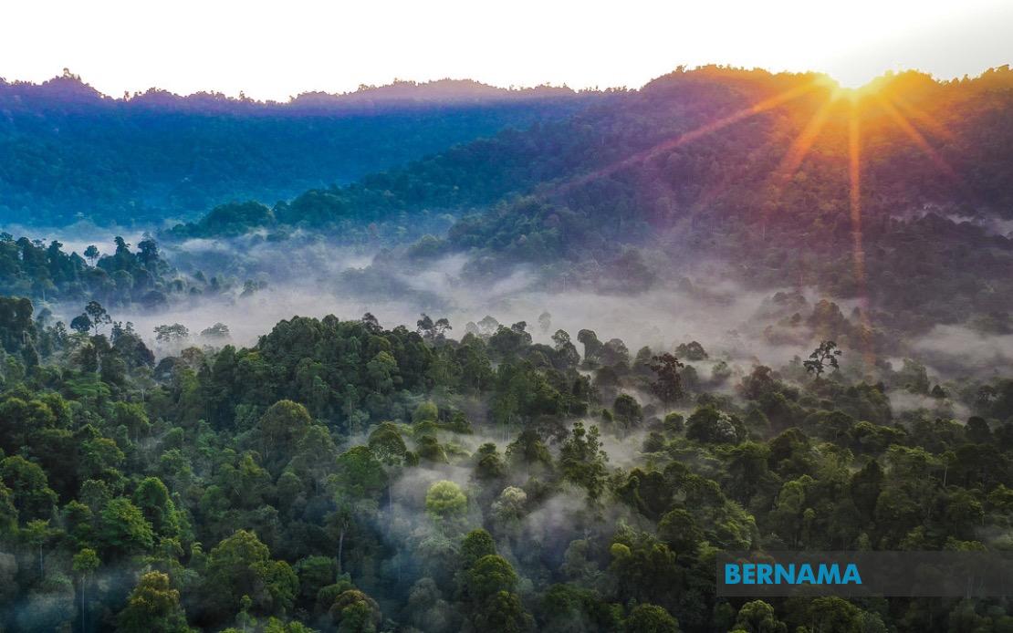 Kelantan Pledges Replacement Forest Reserves for All Degazetted Areas