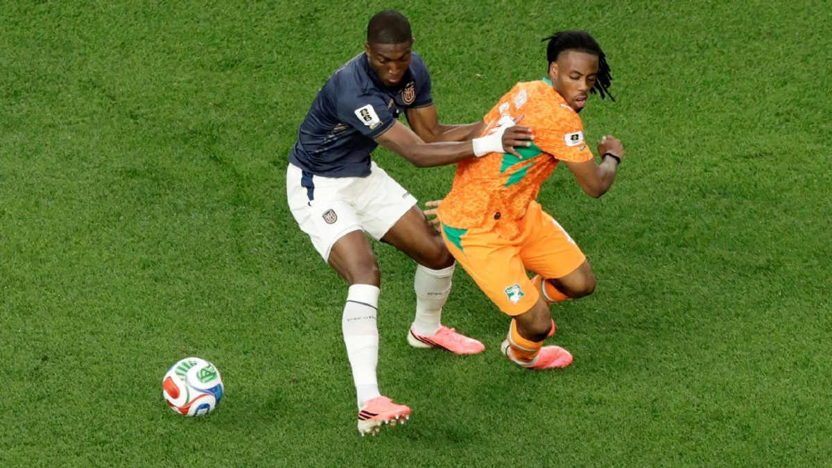 Ivory Coast Benches Star Forward Wahi Over Match-Fixing Probe