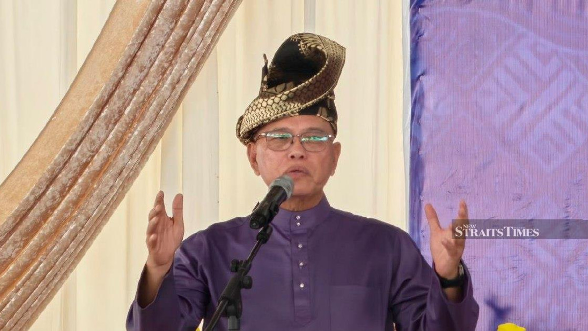 Negri Sembilan election victory proves Umno can appeal beyond racial lines, says party leader