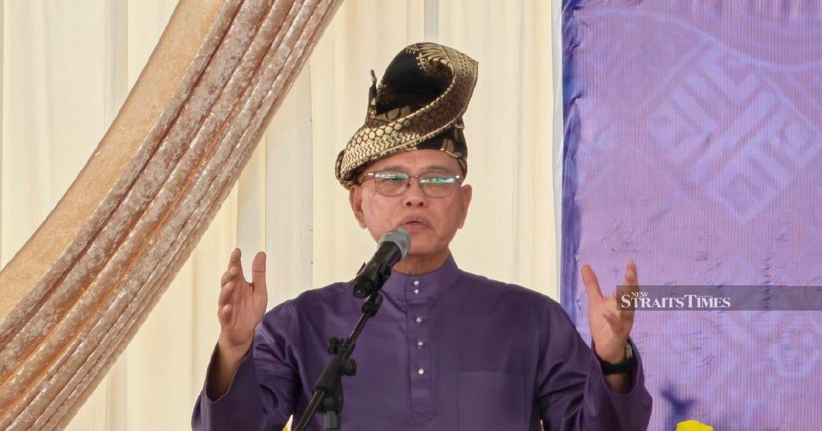 Negri Sembilan election victory proves Umno can appeal beyond racial lines, says party leader