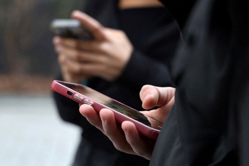 France's Constitutional Court Strikes Down Teen Social Media Ban, Citing Privacy Risks