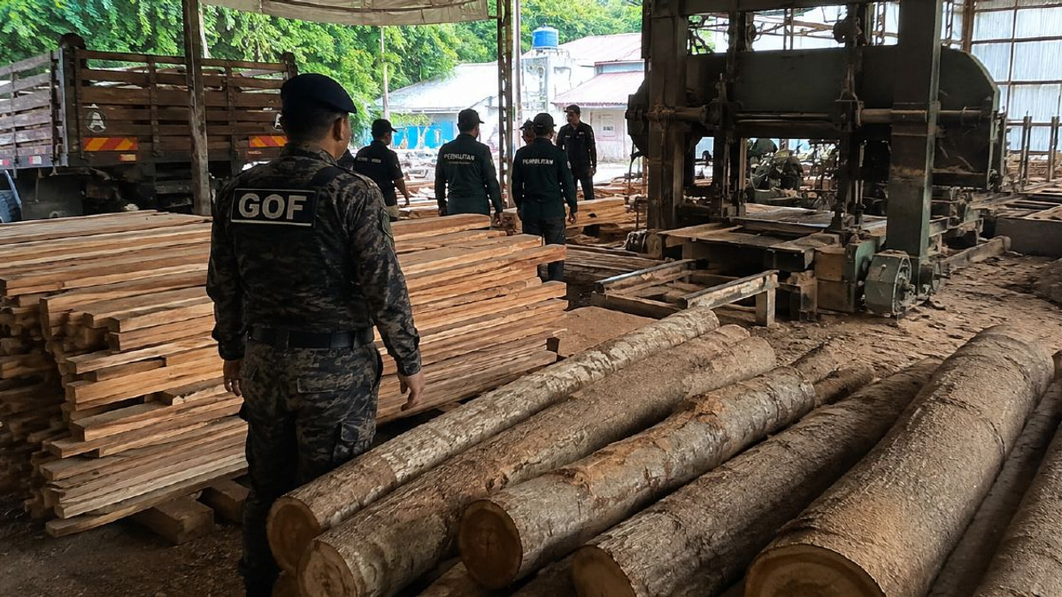 Terengganu Sawmill Raid Nets Timber and Equipment Worth RM640,510