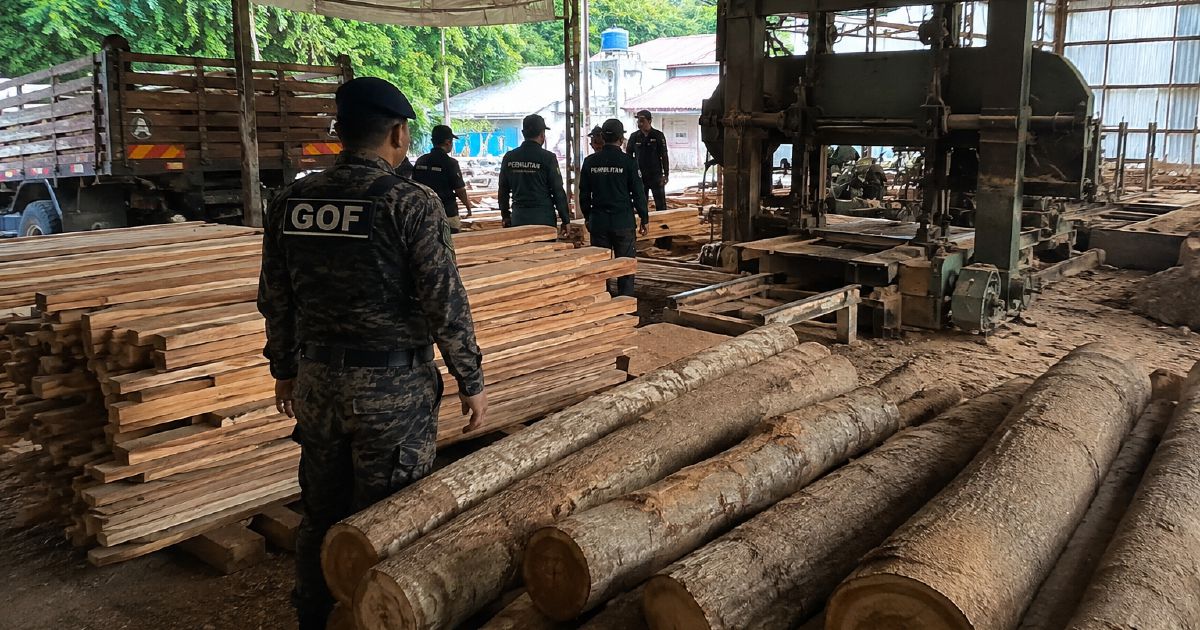 Terengganu Sawmill Raid Nets Timber and Equipment Worth RM640,510