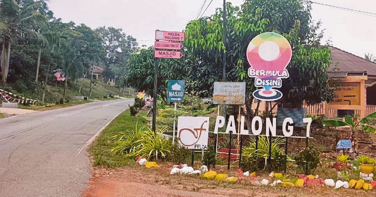 MACC scrutinizes Felda Palong 7 replanting project amid RM80 million irregularity allegations