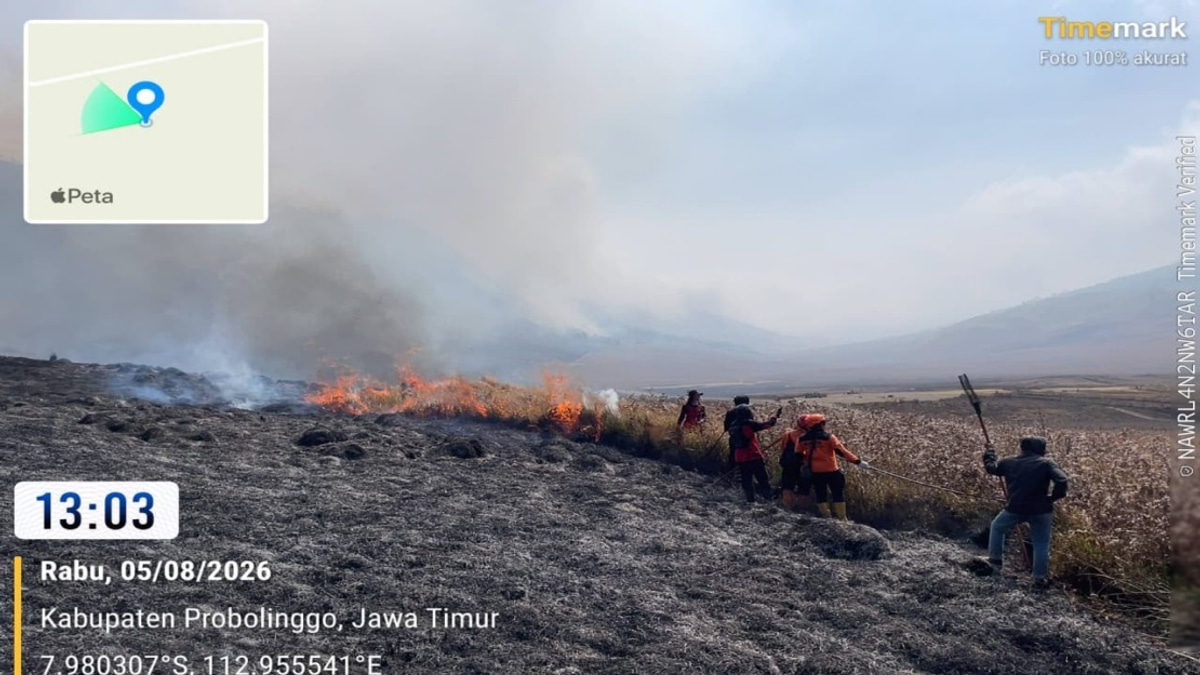 Helicopters Join Bromo Wildfire Battle as Flames Consume 60 Hectares Across East Java