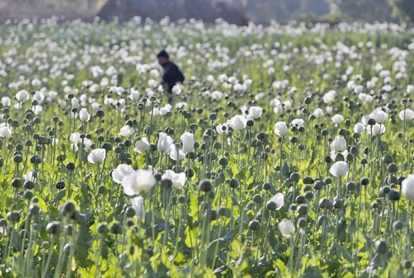 Myanmar Police Seize 17.6kg of Heroin and One Million Stimulant Tablets in Major Drug Bust