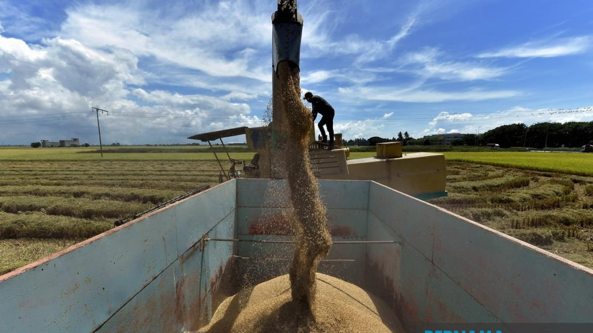 Bill to Strengthen Rice Price Controls and Penalties Gets First Reading in Parliament