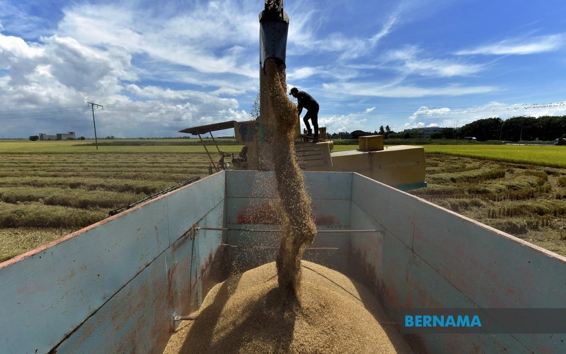 Bill to Strengthen Rice Price Controls and Penalties Gets First Reading in Parliament