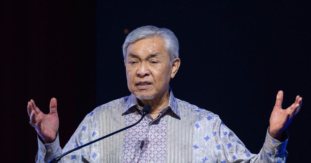 Johor Election: PAS Directive Does Not Guarantee Automatic Win for BN, Zahid Cautions