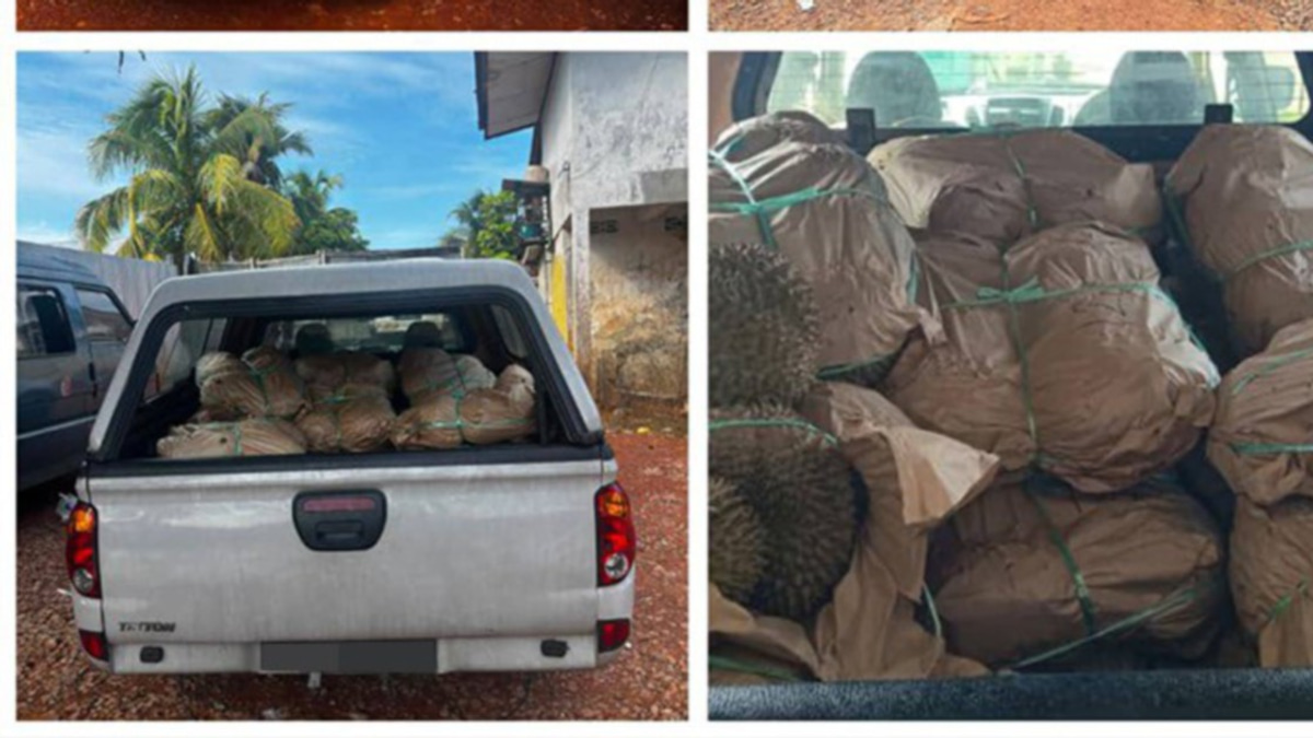 General Operations Force Busts Durian Smuggling Ring at Rantau Panjang Border Jetty