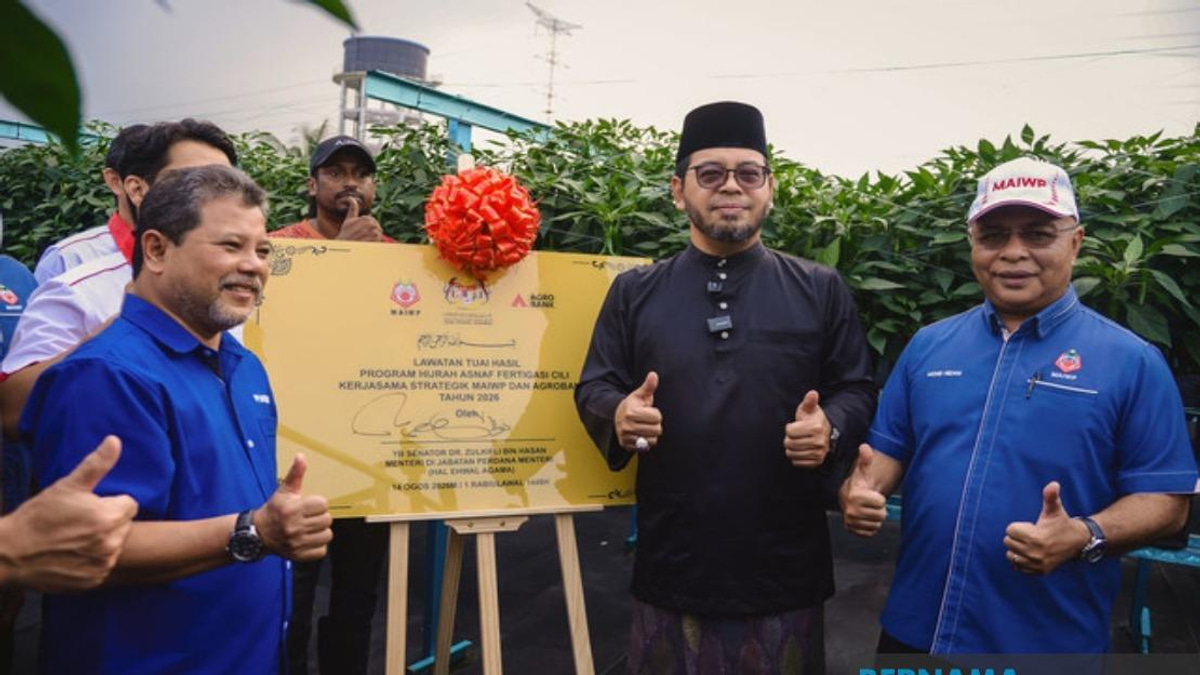 MAIWP Scales Up Asnaf Chilli Farming Initiative Across Five Acres Following Strong First Harvest