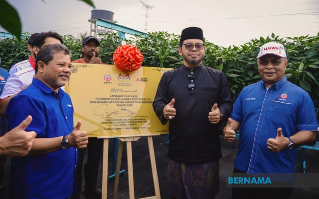 MAIWP Scales Up Asnaf Chilli Farming Initiative Across Five Acres Following Strong First Harvest