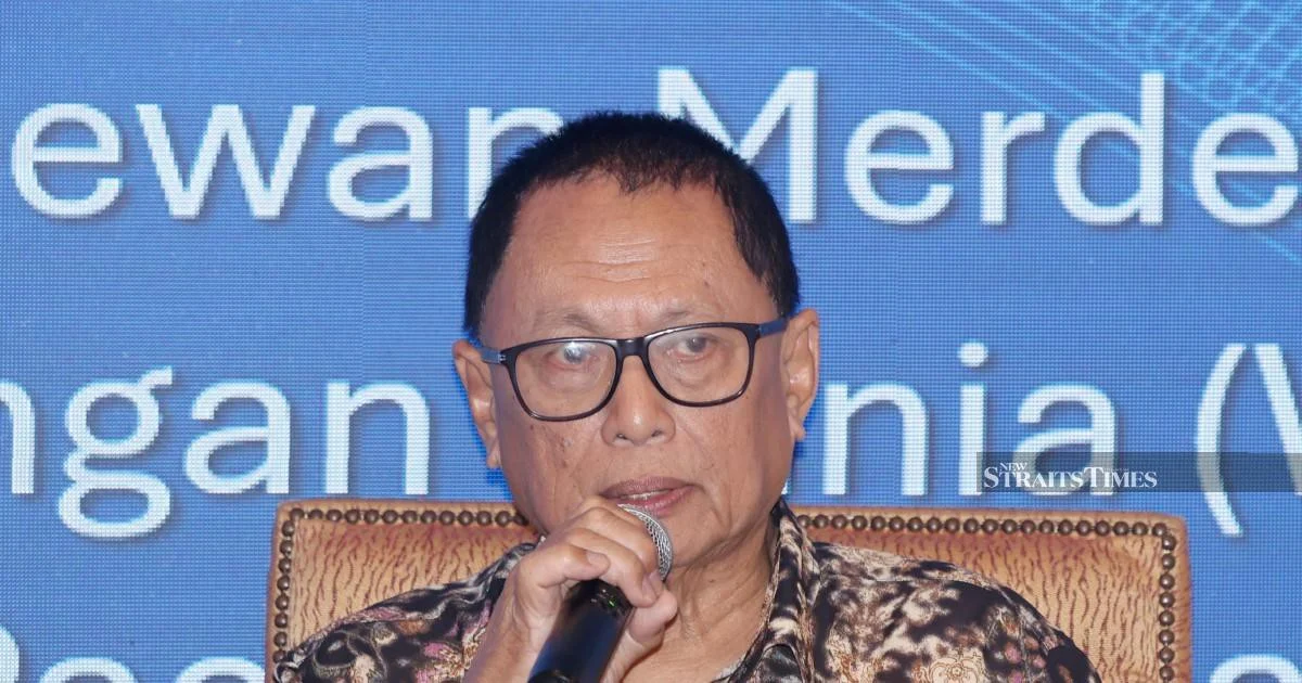 Ex-Umno Leader Puad Denies Son's Candidacy Snub Sparked Resignation, Calls Move 'Kamikaze' Wake-Up Call