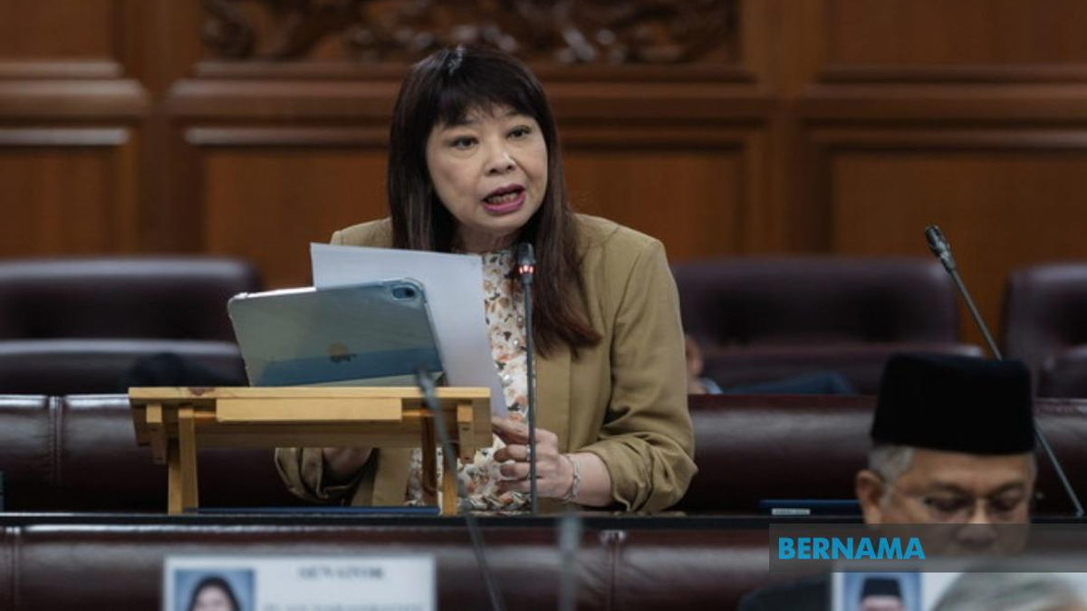 Government Develops Registry System to Track Domestic Violence Repeat Offenders