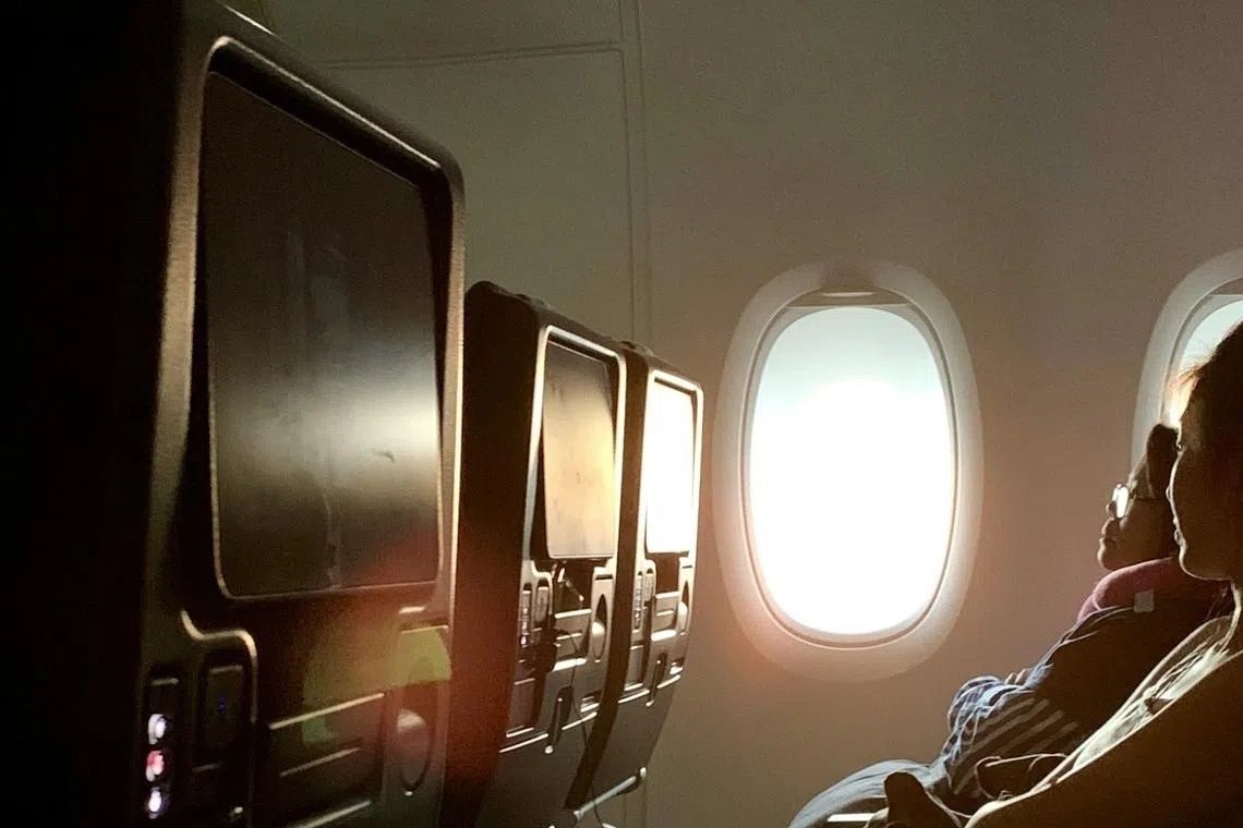 South Korean Teen Urges Stricter Safeguards Against Adult Content in Aircraft Entertainment