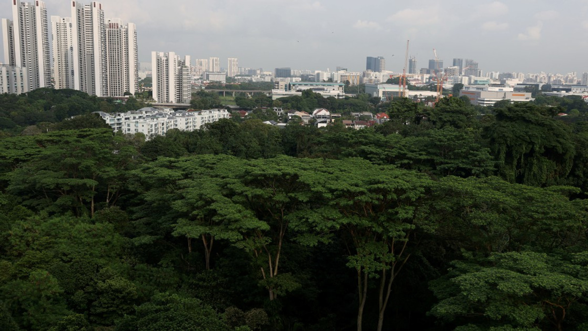 Singapore Arrests Three Teenagers Over Planned Terror Attacks, Citing Youth Radicalisation Concerns