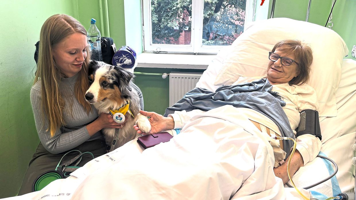 Poland moves to enshrine pets' right to visit terminally ill patients in hospices