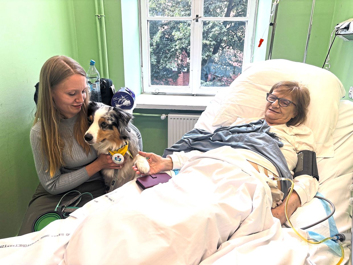 Poland moves to enshrine pets' right to visit terminally ill patients in hospices