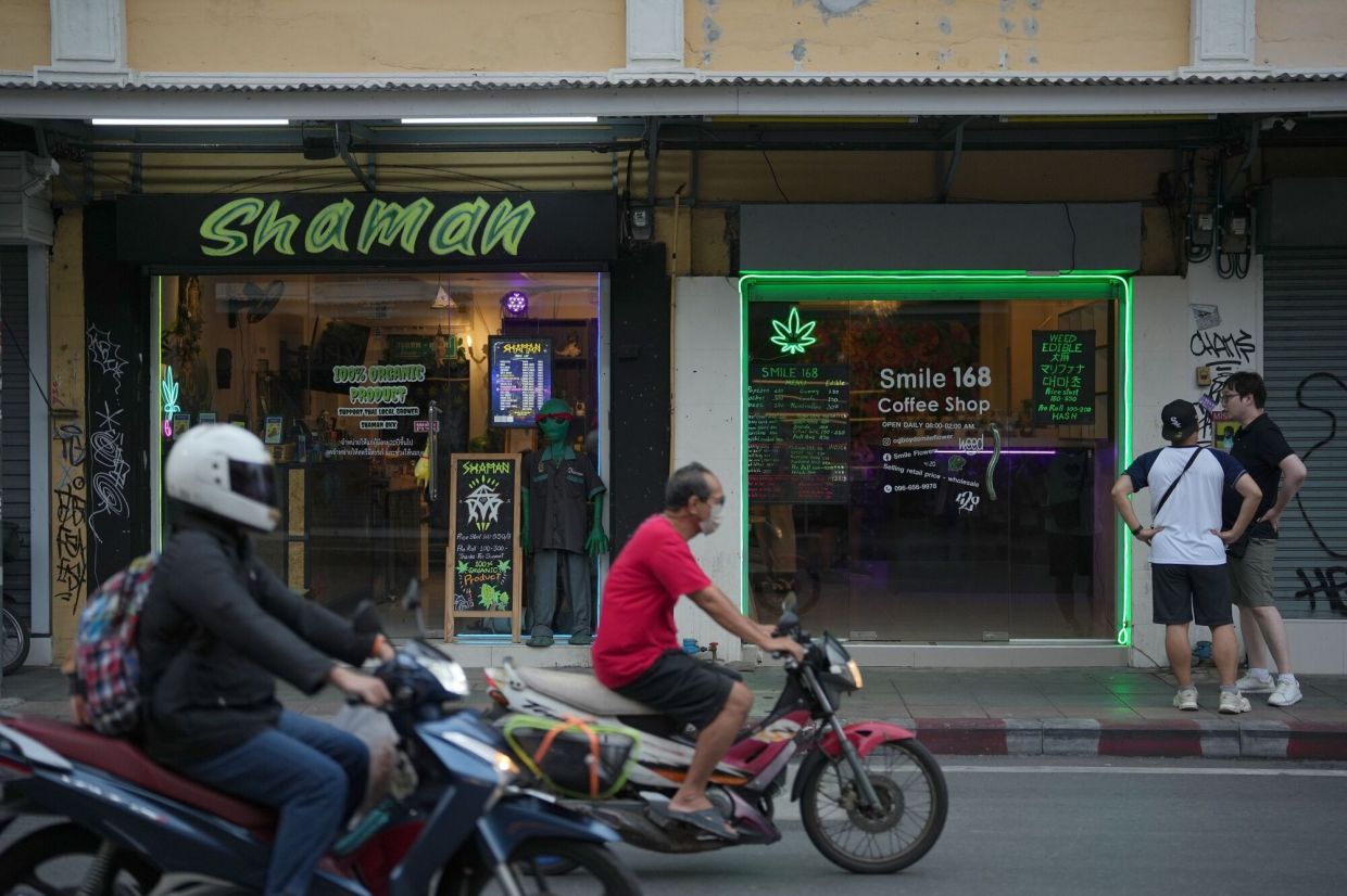 Thailand tightens medical cannabis oversight with new licensing framework and enforcement drive