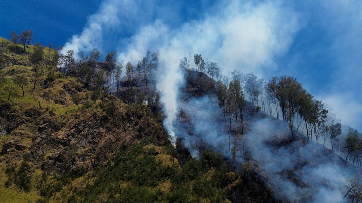 Indonesia Closes Mount Bromo to Visitors as Wildfire Devastates East Java Park