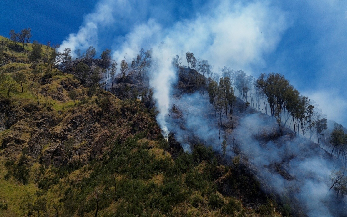 Indonesia Closes Mount Bromo to Visitors as Wildfire Devastates East Java Park