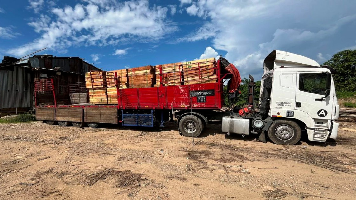 Five Arrested in Massive Illegal Timber Raid; RM2.32 Million in Equipment Seized