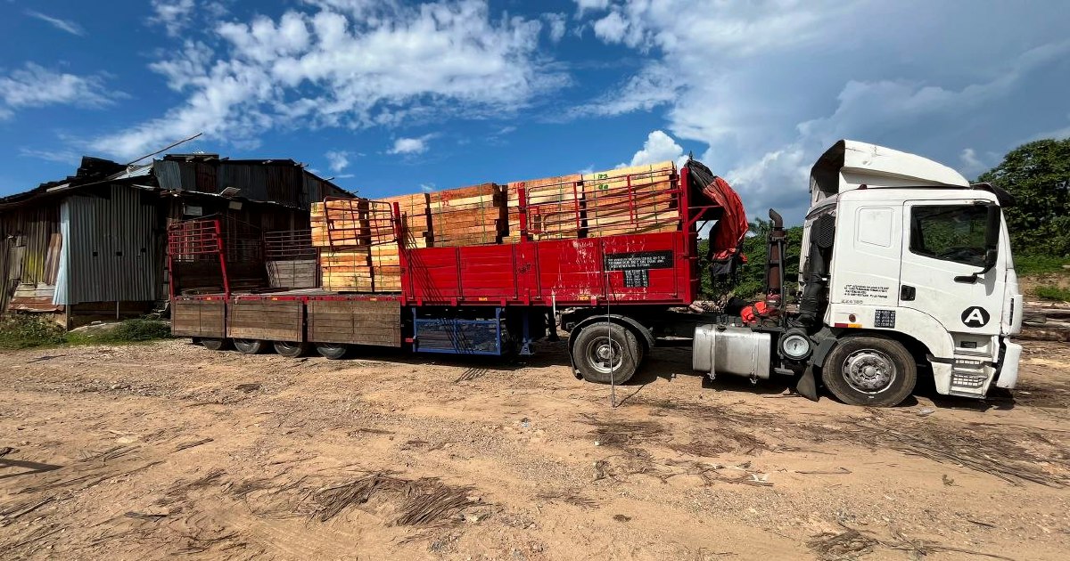 Five Arrested in Massive Illegal Timber Raid; RM2.32 Million in Equipment Seized