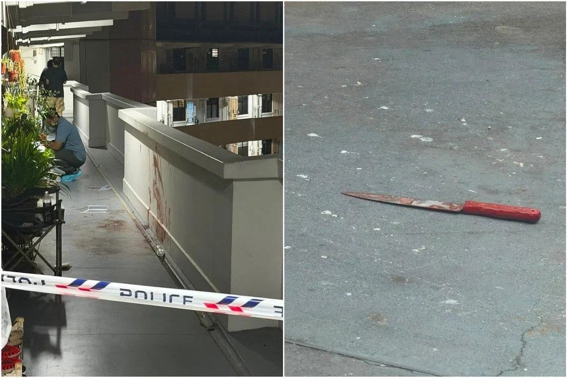 Singapore Man Charged with Murder of Neighbour in Lengkok Bahru Incident