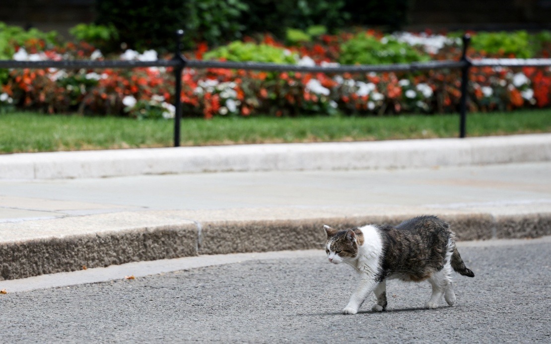 Larry the Cat: 10 Downing Street's Enduring Feline Through Six Prime Ministers