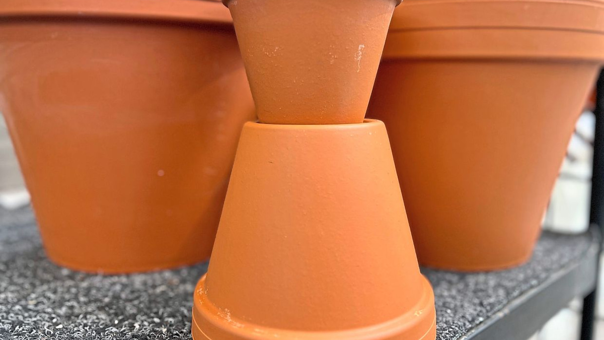 Protecting Malaysian Gardens: A Practical Guide to Reducing Microplastics in Your Soil