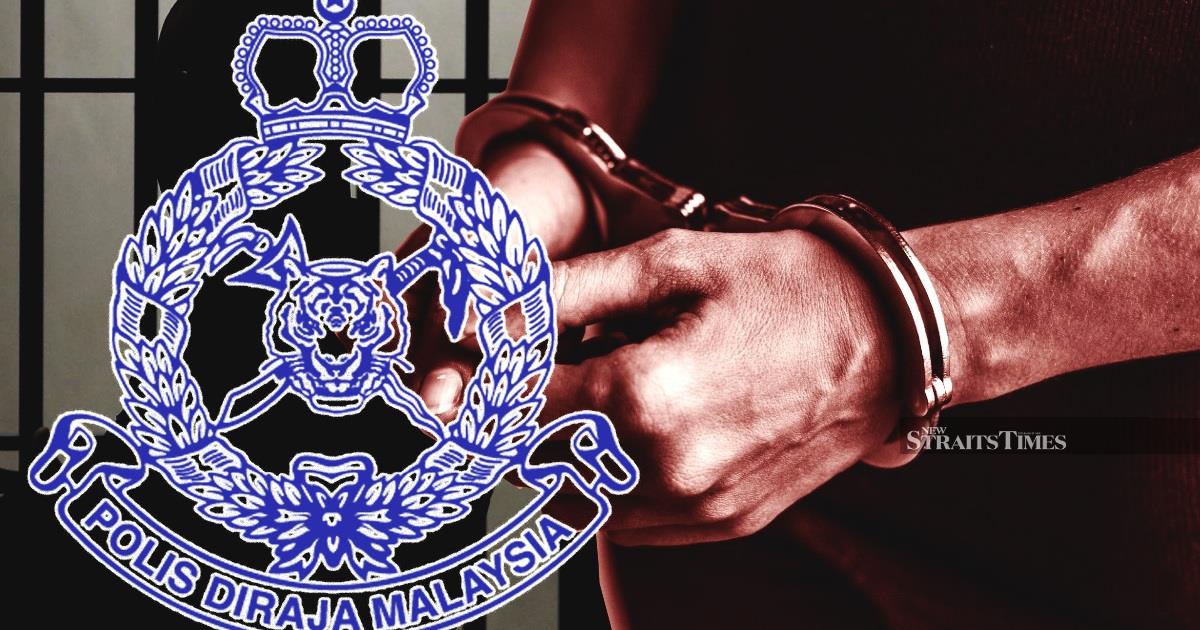 Wildlife Trafficking Ring Broken: Three Held After Protected Birds Worth RM33,000 Seized in Coordinated Raids