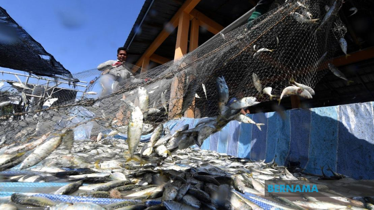 Government Invests RM10 Million in Fishermen Housing Scheme Nationwide