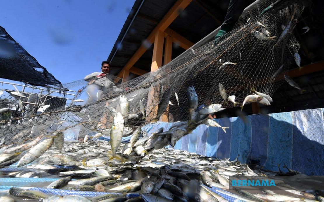 Government Invests RM10 Million in Fishermen Housing Scheme Nationwide