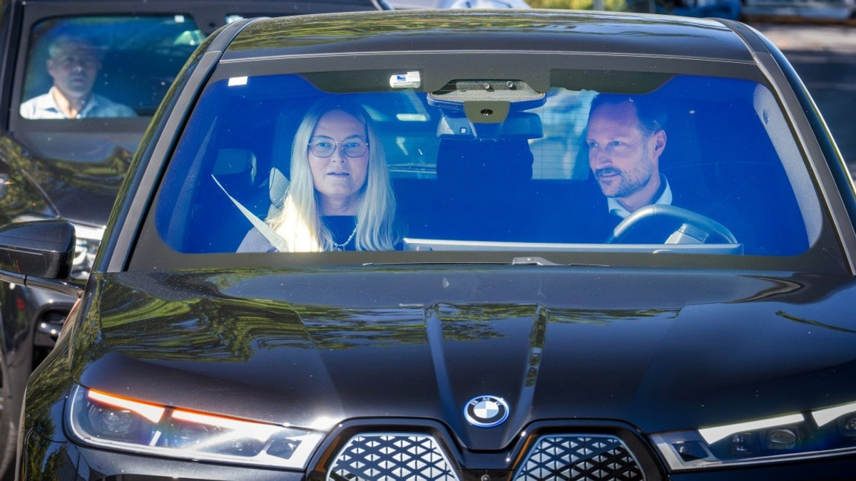 Norwegian King Harald's Health Takes Critical Turn; Crown Prince, Queen Cancel Duties