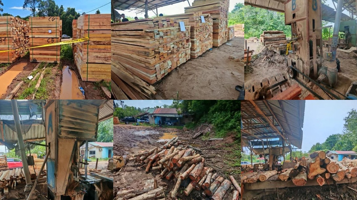 Sawmill Operator and Three Workers Arrested as Authorities Seize RM600,000 in Timber and Equipment in Kelantan