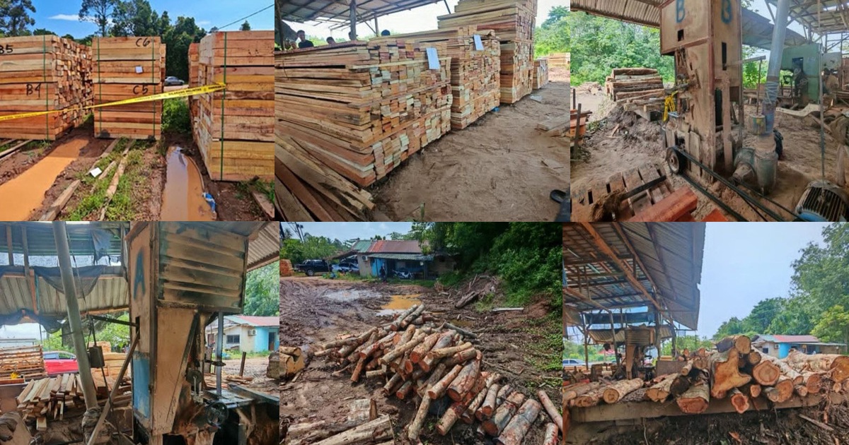 Sawmill Operator and Three Workers Arrested as Authorities Seize RM600,000 in Timber and Equipment in Kelantan