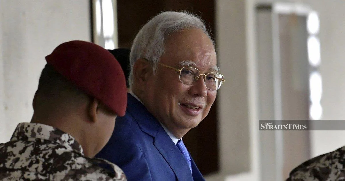 Former Johor Assemblywoman Accuses DAP of Inconsistency Over Najib Pardon Stance