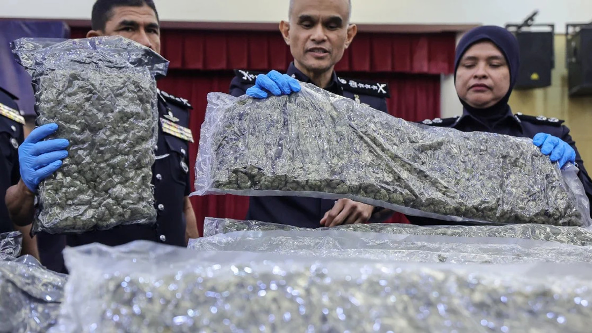 Police Seize 650kg Cannabis Buds at KLIA, 38 Arrested in Ongoing Drug Trafficking Crackdown