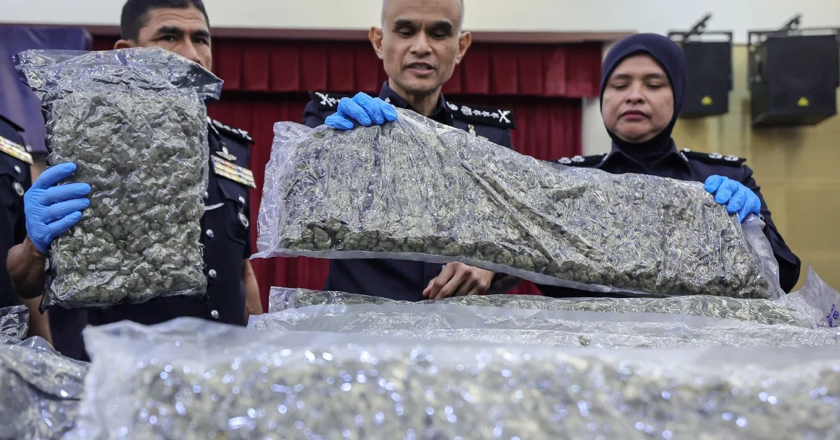 Police Seize 650kg Cannabis Buds at KLIA, 38 Arrested in Ongoing Drug Trafficking Crackdown