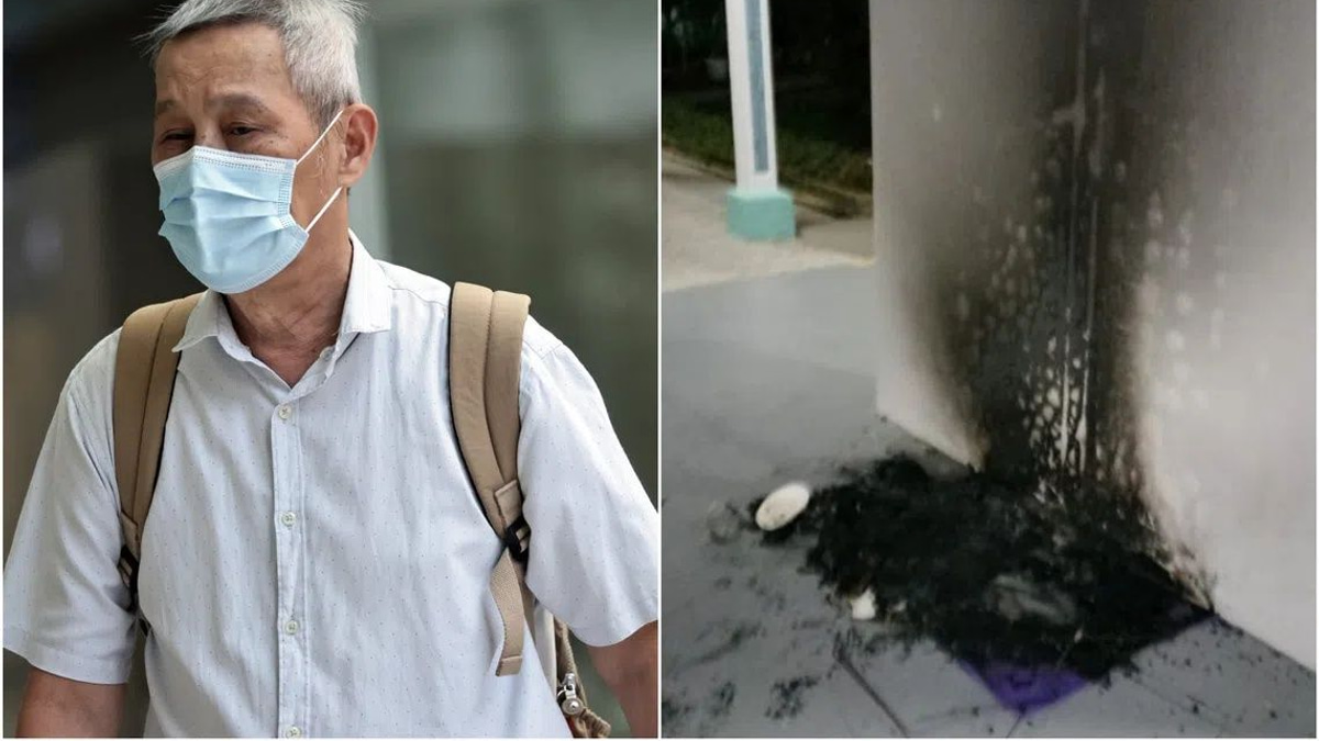 Singapore Man Jailed Three Months for Torching Community Cat Shelters in Bukit Batok