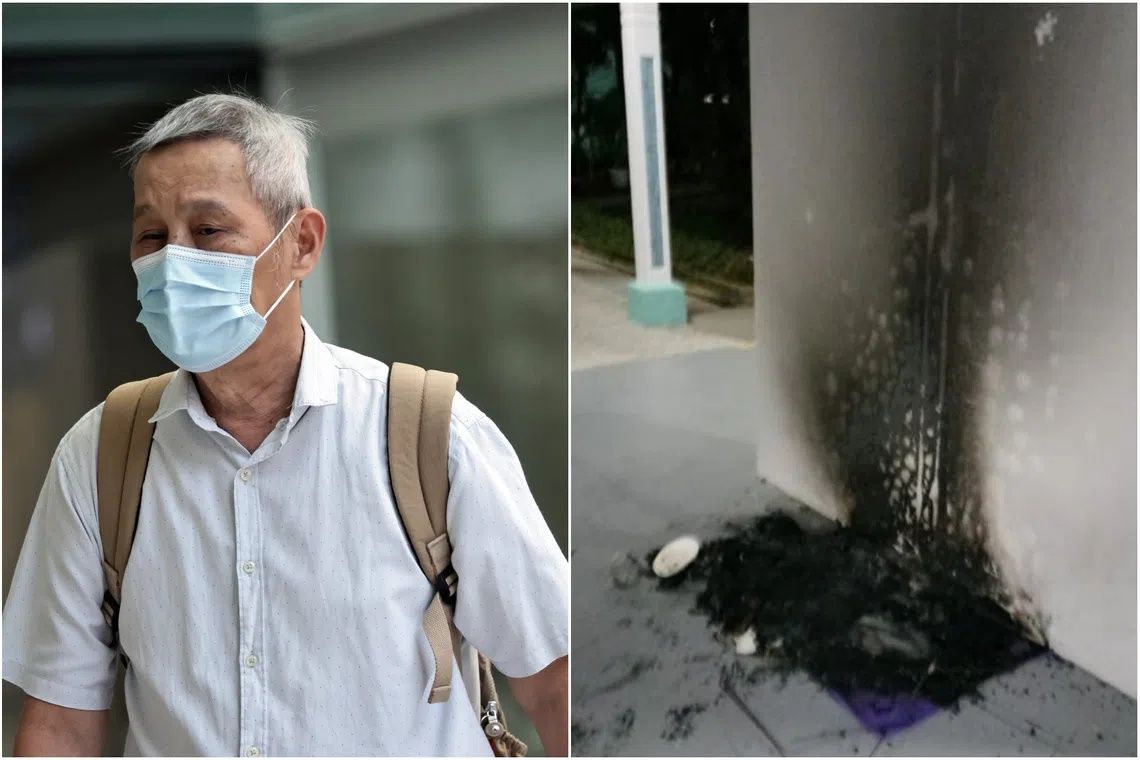 Singapore Man Jailed Three Months for Torching Community Cat Shelters in Bukit Batok