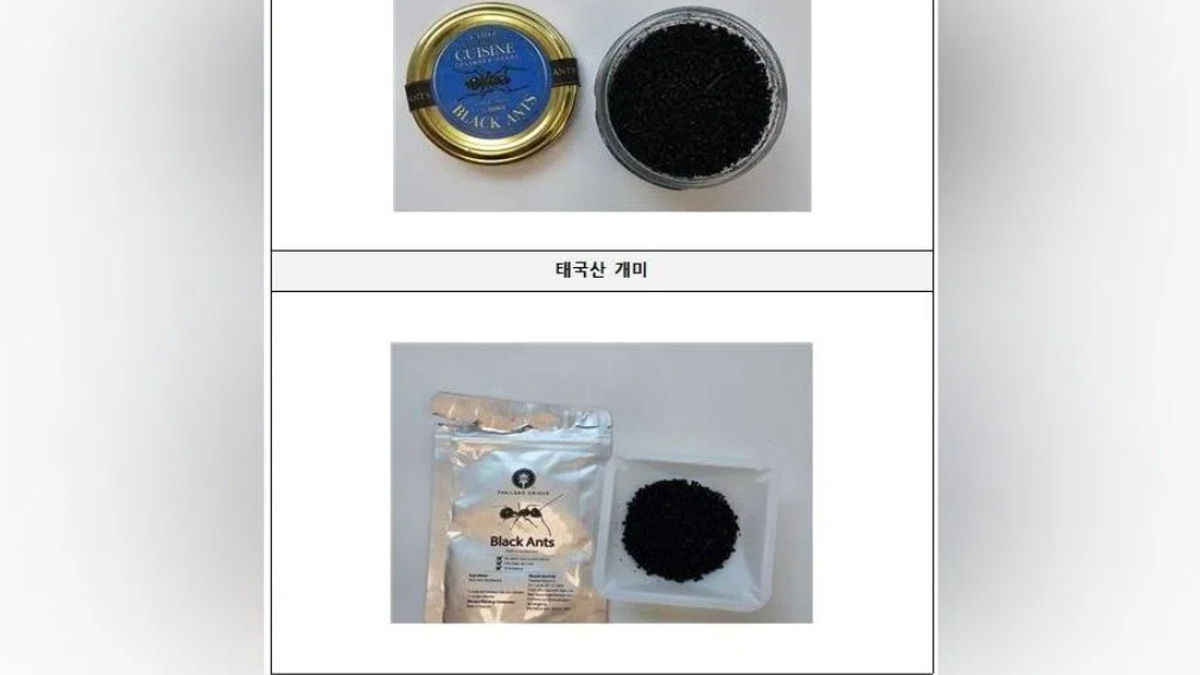 South Korean Michelin Chef Faces Prison for Serving Unapproved Black Ants on Dessert