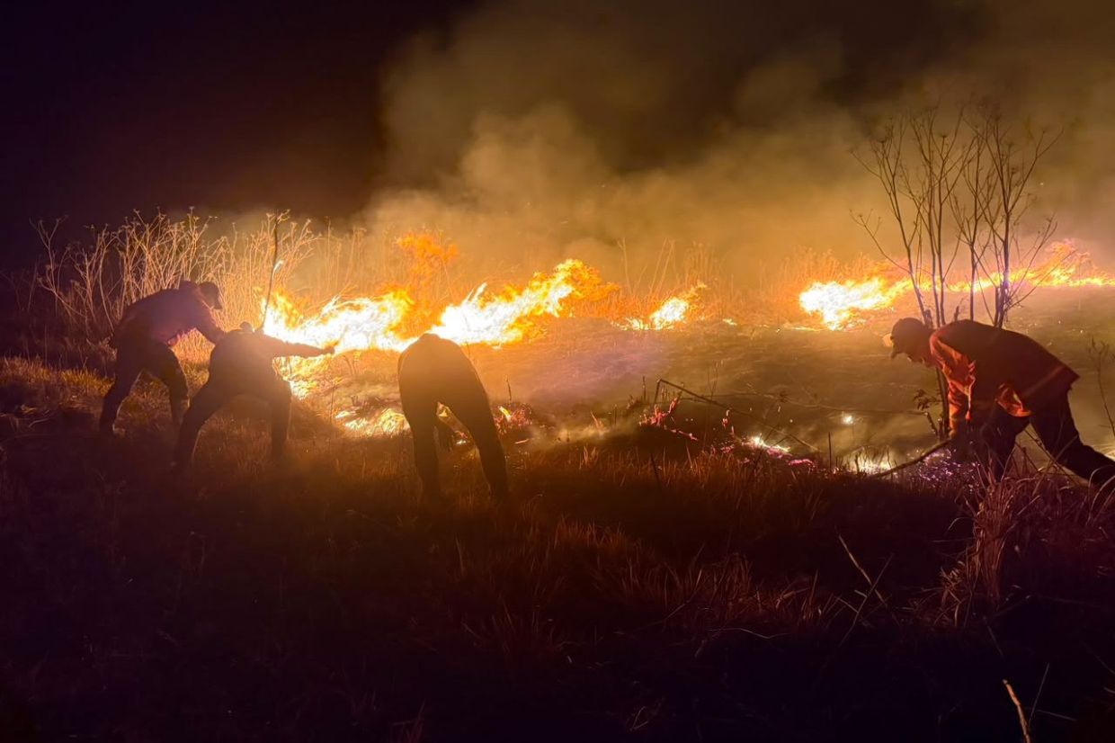 Mount Bromo wildfire spreads to 520 hectares as winds intensify East Java crisis