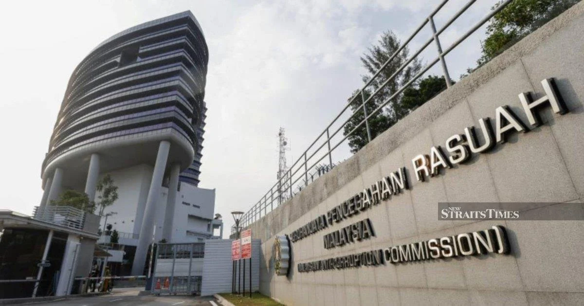 The Troubling Intersection of NGOs and Public Accountability in Malaysia