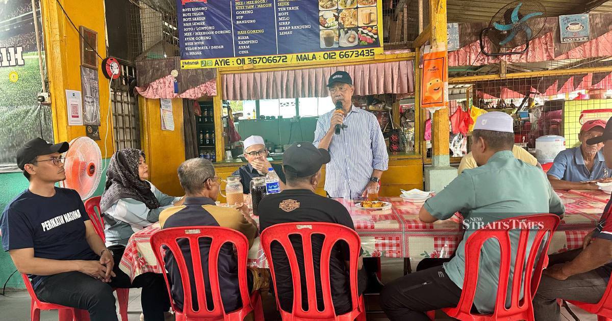 Bersatu Issues Vote Directive Only for PN Candidates in Johor Election