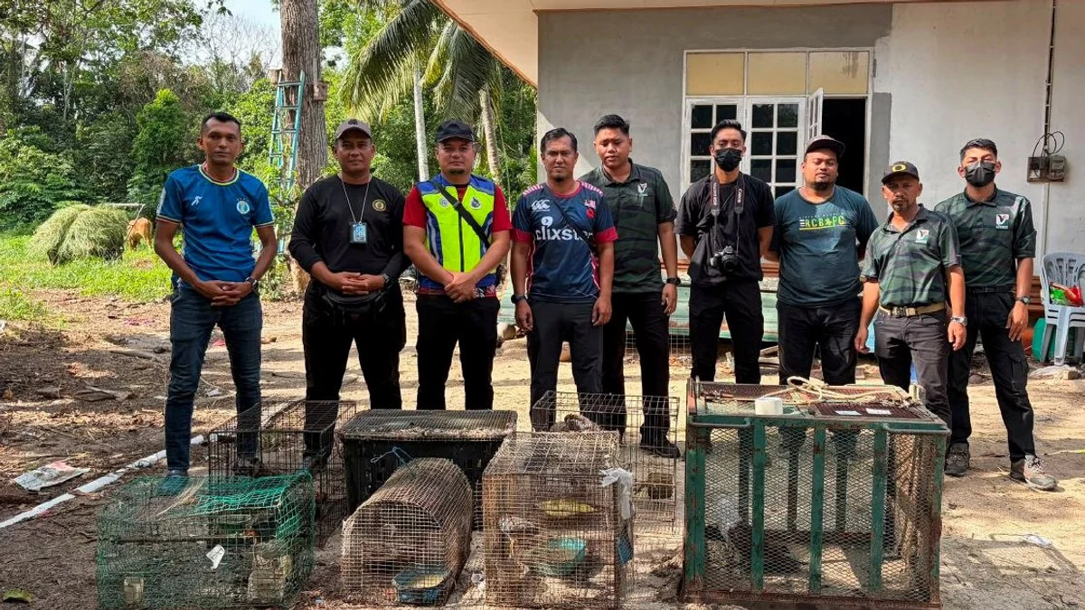 Teen detained after RM48,500 haul of endangered creatures uncovered in Kelantan