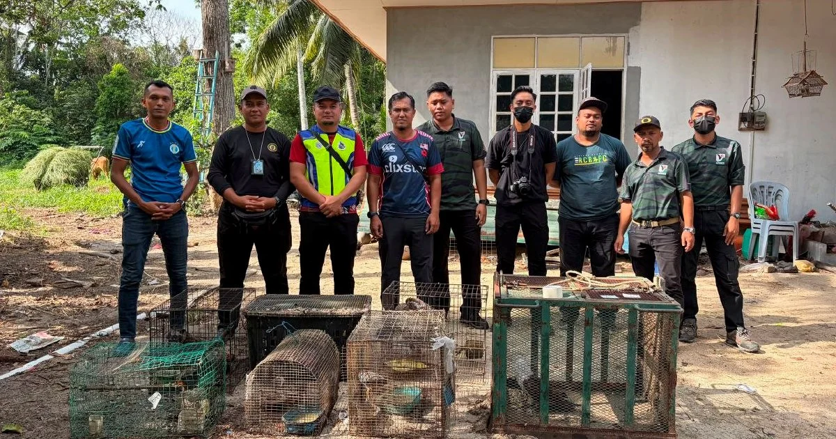 Teen detained after RM48,500 haul of endangered creatures uncovered in Kelantan