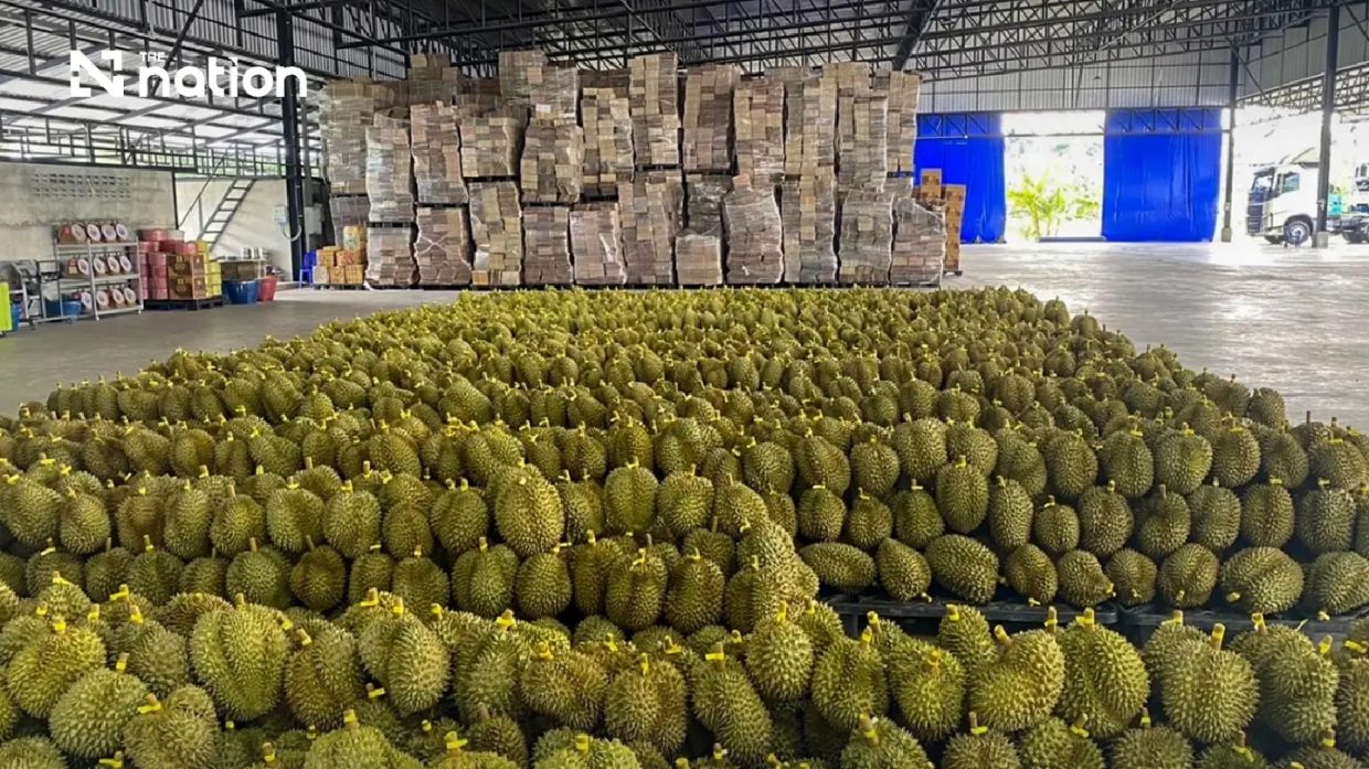 Thailand's durian exports to China hit record THB100bn in first half of 2026