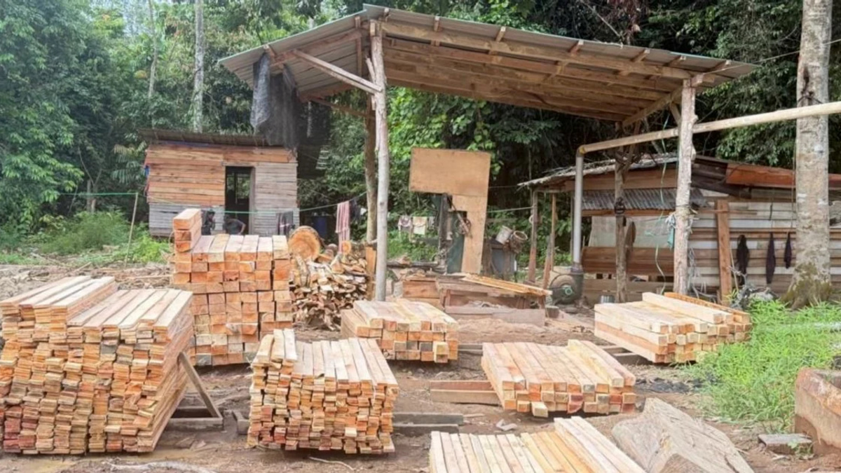 Police Nab Five Suspects, Seize RM1.69 Million in Illegal Sawmill Crackdown