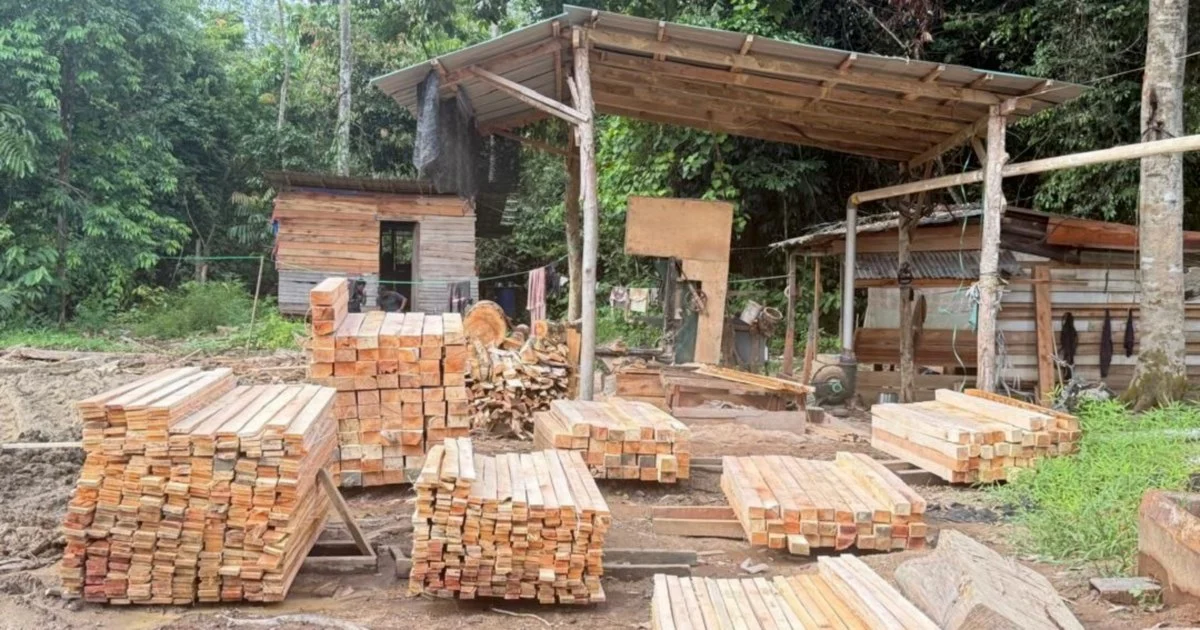 Police Nab Five Suspects, Seize RM1.69 Million in Illegal Sawmill Crackdown